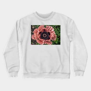 Poppy 5 Crewneck Sweatshirt